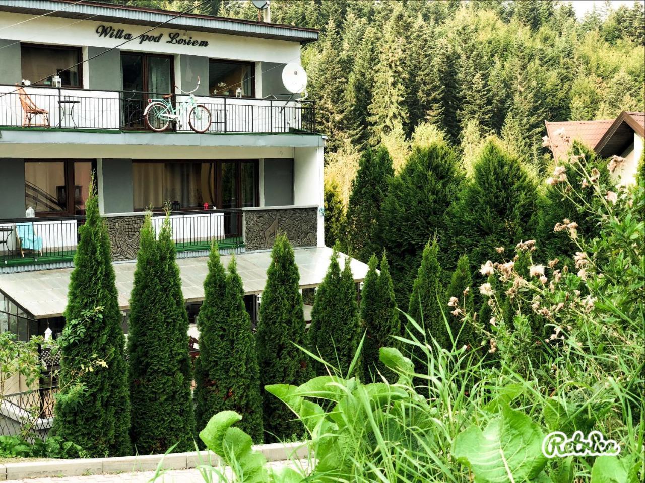 Willa Pod Losiem Krynica-Zdrój Exterior foto